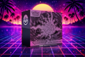 Pitch Black Pokemon Center Etb